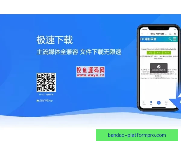 半岛体育APP下载全攻略，畅享全球体育赛事直播与精彩分析